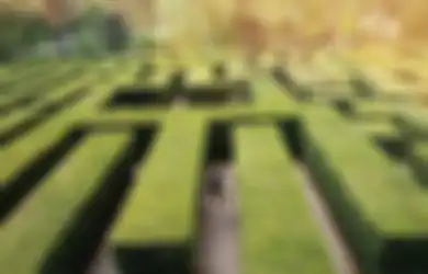 Layaknya Dalam Film Maze Runner, Wisata Labirin yang Masih Jarang di Indonesia Ini Patut Anda Jajal Keseruannya