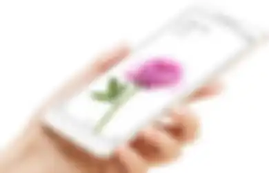 5 Hape Layar 6 Inci Murah Rp 2 Jutaan, Nyaman Main Game dan YouTube