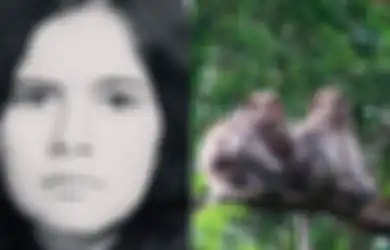 Kisah Pilu Marina Chapman: Dibuang ke Hutan, Dirawat Kera, Lalu Dijadikan Budak Seks