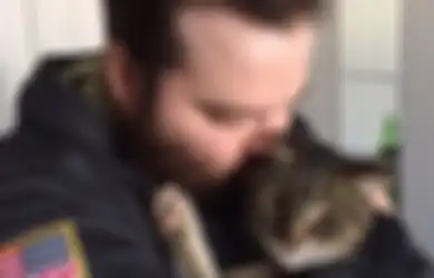 Kucing Punya 9 Nyawa? Ini 4 Ekor Kucing yang Bertahan Hidup Meski Sebelumnya Sekarat