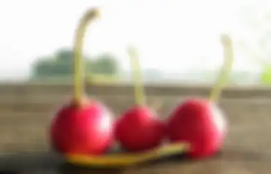 Dari Menurunkan Tekanan Darah sampai Obati Flu, Inilah 9 Manfaat Lain dari Buah dan Daun Talok