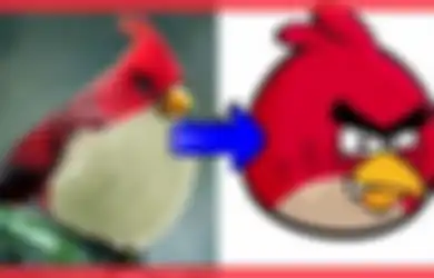Siapa Sangka Burung-burung di Game Angry Bird Benar-benar Ada di Dunia Nyata, Enggak Kalah Lucu lho…