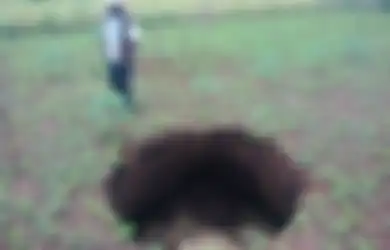 Warga Gunungkidul Resah, Muncul 4 Lubang Misterius yang Terus Bertambah Besar