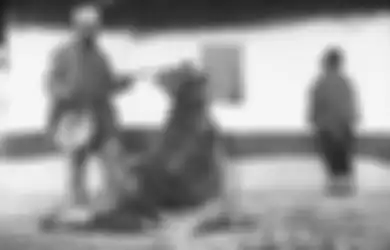 Foto-foto Lawas Ini Sangat Lucu, Salah Satunya Terapi Punggung Diduduki Beruang