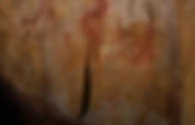 Menurut Penelitian, Neanderthal Telah Mengenal Seni 20 Ribu Tahun Sebelum Manusia Modern Melukis di Dinding Gua