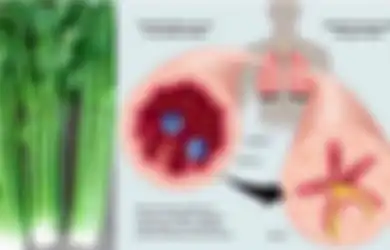Konsumsi Seledri Selama Satu Minggu dan Rasakan Langsung Manfaatnya pada Tubuh Anda