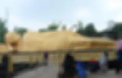 Sudah Tahu Belum? Inilah 5 Kota Terkecil di Indonesia, Nomer 1 Hanya 10 Persennya dari Bandung