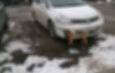 Hi... Seorang Dokter Menabrak Anjing dan Tak Sadar Mayatnya Terjepit di Depan Mobil Selama Berhari-hari