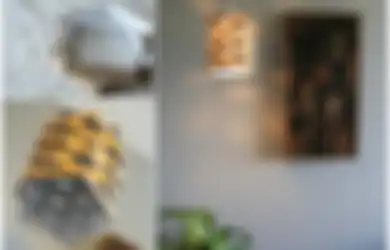 Mudah dan Praktis! Jadikan Rumah Lebih Rapi Hanya Dengan Kardus Bekas