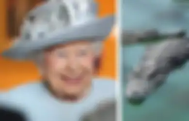 Inilah 9 Hadiah Unik Untuk Ratu Elizabeth II. Bukan Tas Mewah, Melainkan Hewan Peliharaan Langka yang Eksotis!