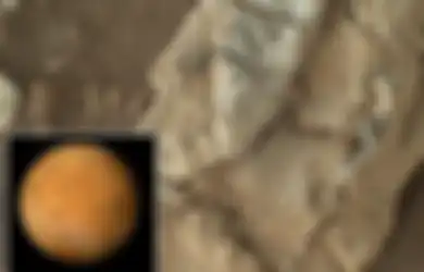Seorang Ilmuan Mengatakan Bahwa NASA Telah Menyembunyikan Bukti Fosil Alien di Planet Mars