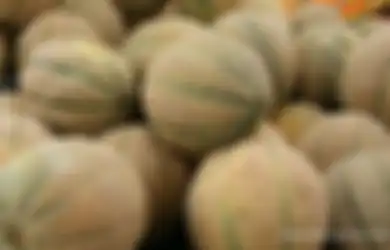 Empat Orang Meninggal ‘Gara-gara’ Rock Melon, Kemtan Hentikan Impor dari Australia