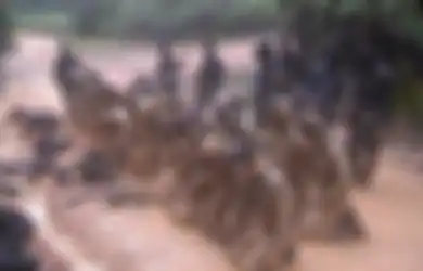 Dihajar Habis-Habisan Dalam ‘Kamp Tawanan’, Para Siswa Prajurit Komando Harus ‘Lupa Diri’