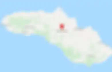 Para Ilmuwan Ini Terkejut Setelah Temukan 3 Fosil Hewan Langka di Pulau Sumba!