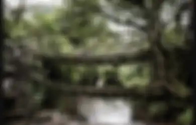 Bukan dari Beton atau Baja, Suku Ini Buat Jembatan dari Akar Pohon, Tapi Diklaim Mampu Menahan Banjir Bandang