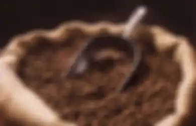 Kopi Membantu Ketergantungan pada Kokain