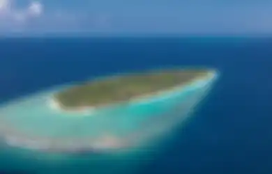 Jika Beli Rumah Terlalu 'Mainstream', Yuk Coba Beli Pulau! Ini Daftar Pulau Eksotis yang Bisa Anda Miliki!