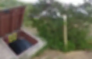 Terlihat Seperti Semak Belukar Biasa, Rupanya di Baliknya Ada Terowongan Rahasia yang Bagian Dalamnya Mengejutkan!