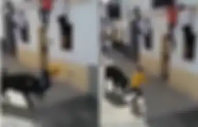 (Video) Ngeri! Diseruduk Banteng Saat Festival, Pria Spanyol Ini Akhirnya Meninggal