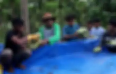 Setelah 13 Tahun Bekerja di Bank Dunia, Muslahuddin Pulang Kampung Memutuskan Jadi Petani dan Ubah Hidup Penanam Ganja