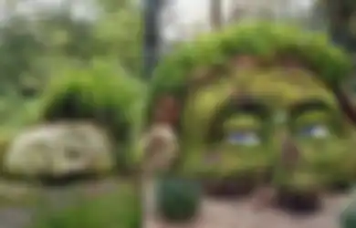 (Foto) Menemukan 'Raksasa Hijau' di Taman Heligan yang Pernah Hilang Selama Beberapa Dekade