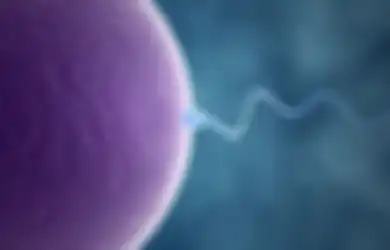 Perhatian bagi Pria! Inilah Cara Hasilkan Sperma Berkualitas!