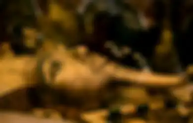 Apa Kira-kira Isi Ruang Rahasia yang Baru saja Ditemukan dalam Piramid Raja Mesir Kuno Tutankhamun?