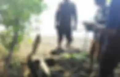 Berniat untuk Bertelur, Induk Penyu Malang ini Malah Ditangkap dan Dimakan