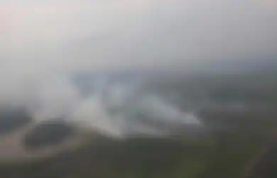 Gawat, Pilkada malah Bikin Hutan Gundul!