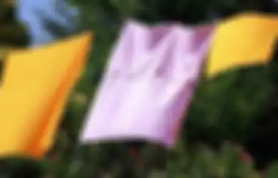 Menghilangkan Noda Pada Pakaian/Kain (Bag. 2)