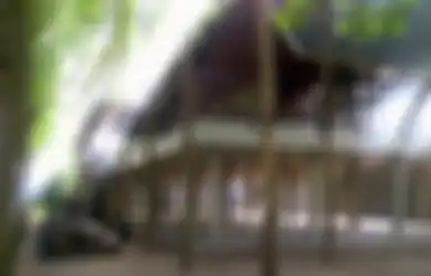 Klinik Kopi: Begini Ngopi yang Benar