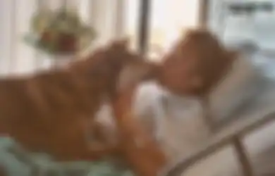 Ben dan Denali, Kisah Anjing yang Menemani Majikannya Melewati Kanker hingga Akhirnya ia Sendiri Mati (1)