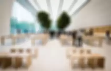 Apple Sabet Paten Desain Apple Store dengan Hiasan Pohon Hidup