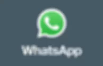 Akhirnya WhatsApp Mendukung Format Gambar GIF