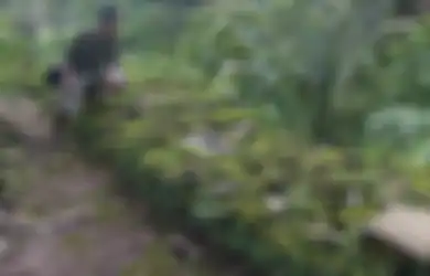 Baru Tahun Pertama Jadi Raja Mataram Islam, Amangkurat I Sudah Jalin Persahabatan Dengan VOC