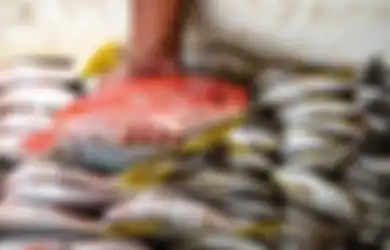 Perhatikan! Inilah Daftar Ikan dengan Kandungan Merkuri Rendah Hingga Tinggi