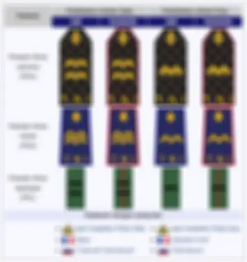 Tanda kepangkatan Bintara Tinggi TNI AU