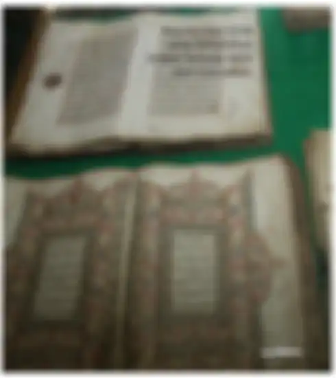 Sang penyelamat benda peninggalan sejarah kerajaan Aceh