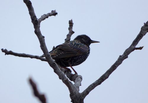 Berita Kejadian Aneh Di Inggris Terbaru Hari Ini Heboh Ratusan