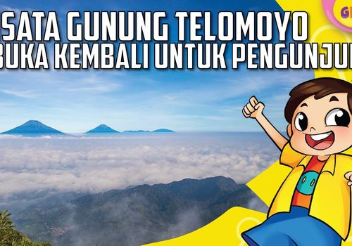 Berita Gunung Telemoyo Terbaru Hari Ini - Kids