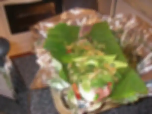 Ikan Sabuko