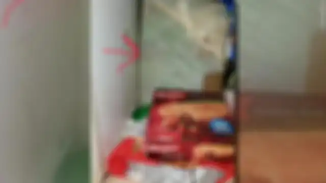 Penampakan isi dalam kulkas itu.