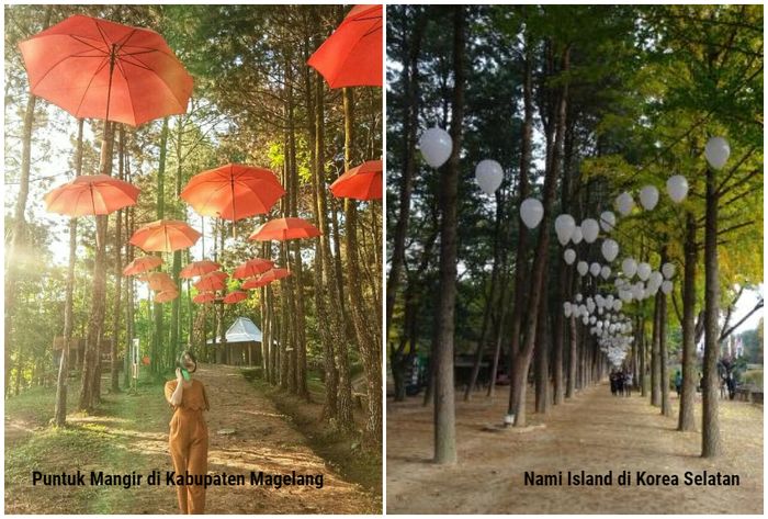  


Puntuk Mangir layaknya Nami Island