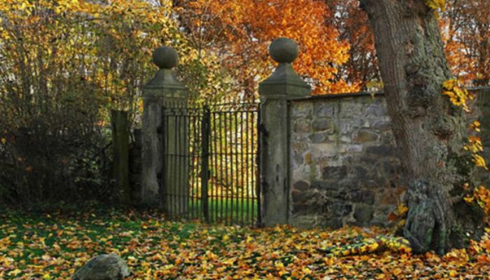 Foto kamuflase coba kamu perhatikan 