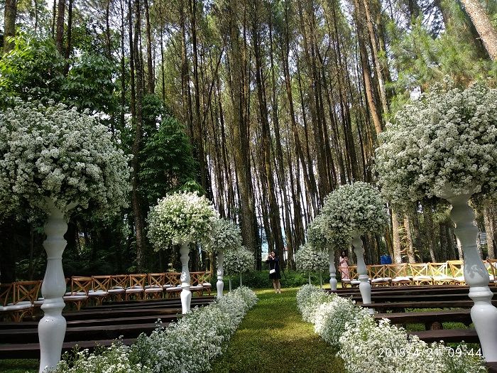 Dekorasi <a href='https://sumsel.tribunnews.com/tag/pernikahan' title='Pernikahan'>Pernikahan</a> Syahnaz Sadiqah di hutan pinus Pine Hill, Bandung, Jawa Barat.