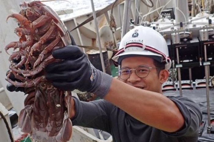 
Spesies baru di perairan Jawa. 