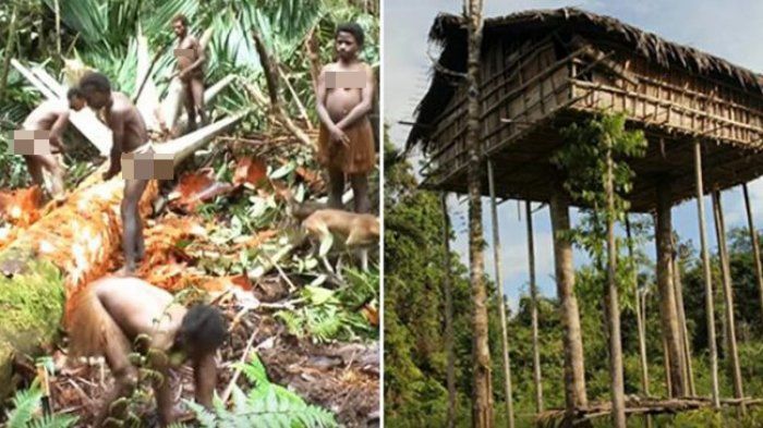Suku Korowai
