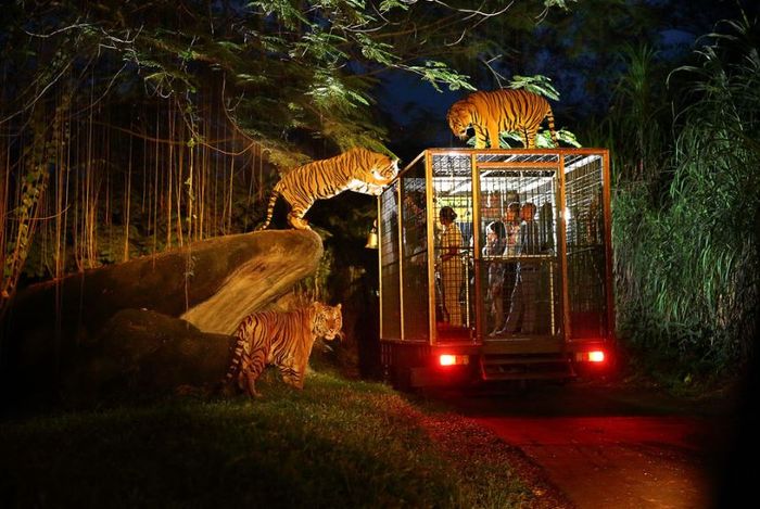 10 Fakta Menarik Singapura yang Jarang Diketahui Orang
