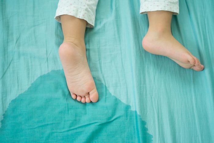 Hanya di Indonesia, Gigitan Capung di Pusar Anak Dipercaya Bisa
