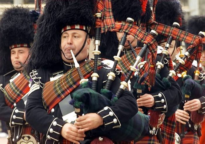 Ratu dibangunkan piper setiap pagi.